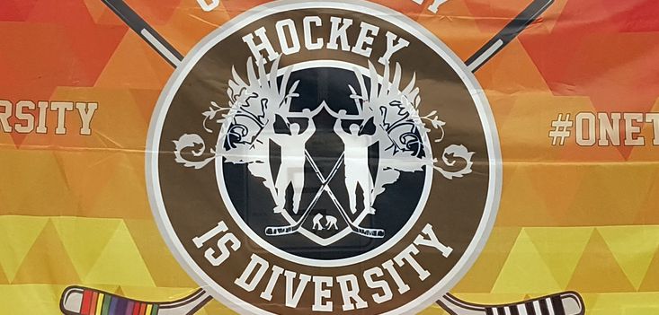 Logo Hockey is Diversity